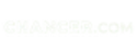 Chancer Casino Logo